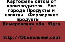 Картофель оптом от производителя - Все города Продукты и напитки » Фермерские продукты   . Кемеровская обл.,Юрга г.